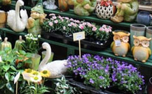 畢業季花店活動方案(合集)