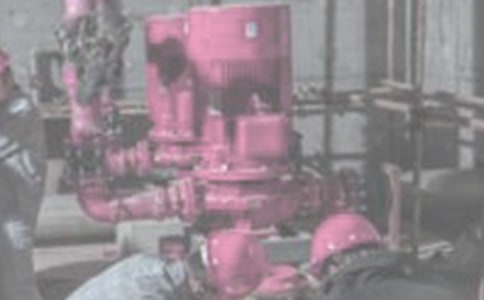 �C늲��T���g�T��K���Y-���g�������Y