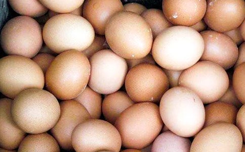 �ҌW���˳��u�����ģ�ͨ��49ƪ��