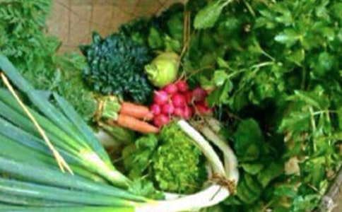 老年健康管理工作總結(jié)