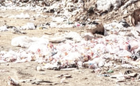 ��У�y�������zӑ��(sh��)