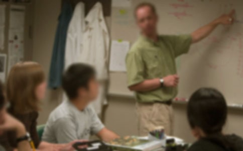 ���ώ���ο���ŷ���