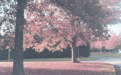 光伏電站秋季大檢查工作總結