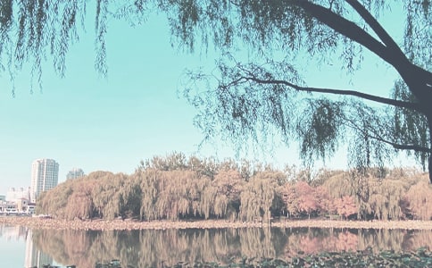 ĳС�W�＾��������