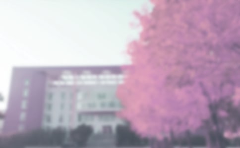 �＾С�W����꠵Ĺ������Y