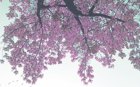 �＾�W(xu��)��������������(b��o)�淶��