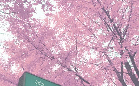 ������＾�������Y(ji��)��ͨ��7ƪ��