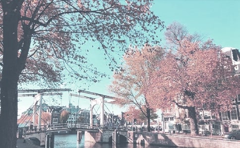 �＾�W(xu��)�ڈF(tu��n)ί����Ӌ(j��)��