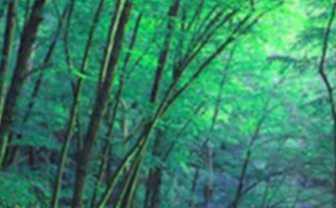 個人森林防火工作總結(jié)