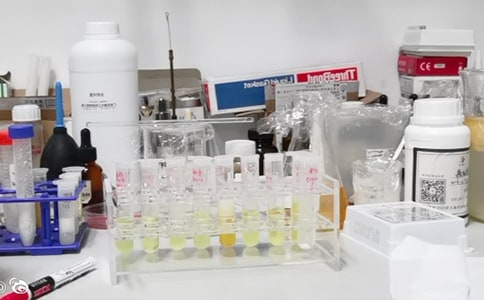 �����ҹ������Y(ji��)�����x15ƪ��