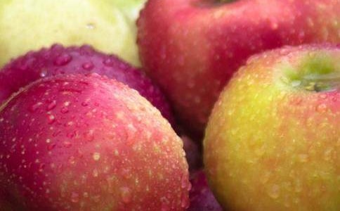 關于水果說明文作文錦集五篇