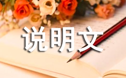 說(shuō)明文作文600字五篇