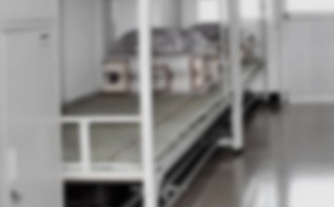 �WУ�������T��ȹ������Y��ͨ��11ƪ��