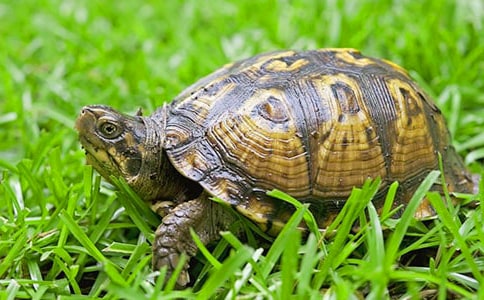 С����?sh��)����?00�֣�ͨ��47ƪ��