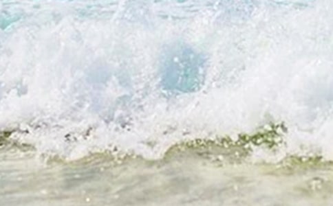 ���������������