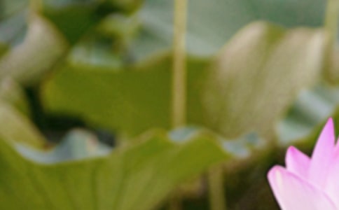 ��������Ȧ�İ�ͨ��15ƪ