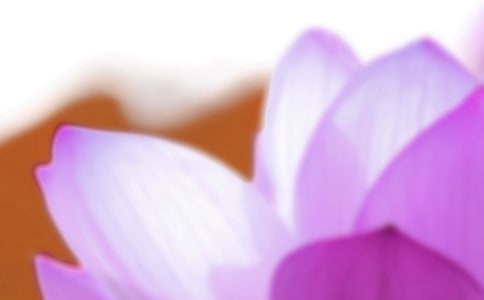 描寫(xiě)夏至的古詩(shī)詞合集