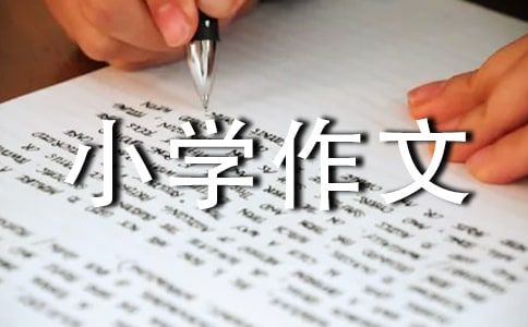 長(zhǎng)大的感受小學(xué)作文