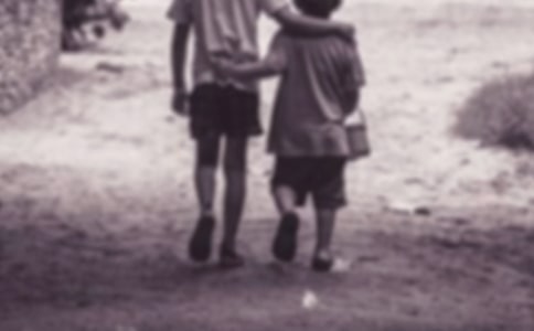 《九月九日憶山東兄弟》古詩詞鑒賞