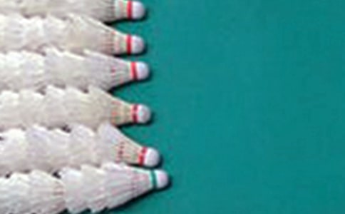 我學會了打羽毛球作文(10篇)