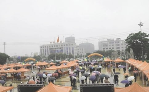 就業招聘會簡報(精選24篇)