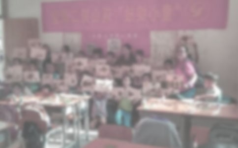 支教工作總結與體會五篇