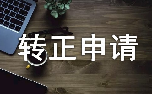 試用期轉(zhuǎn)正申請書(精選14篇)