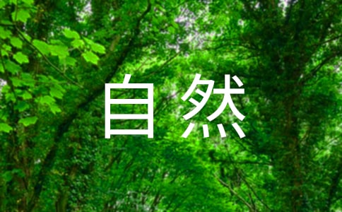 讓真情自然流露六年級(jí)作文(精選46篇)