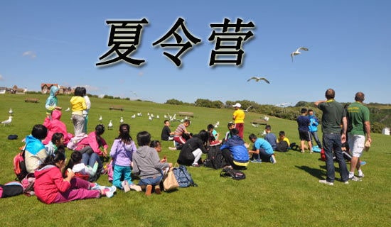 【實(shí)用】雅思夏令營(yíng)活動(dòng)總結(jié)