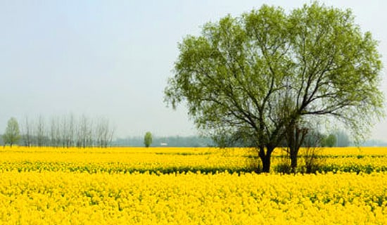 С�W(xu��)�����λ�ӷ���(����)